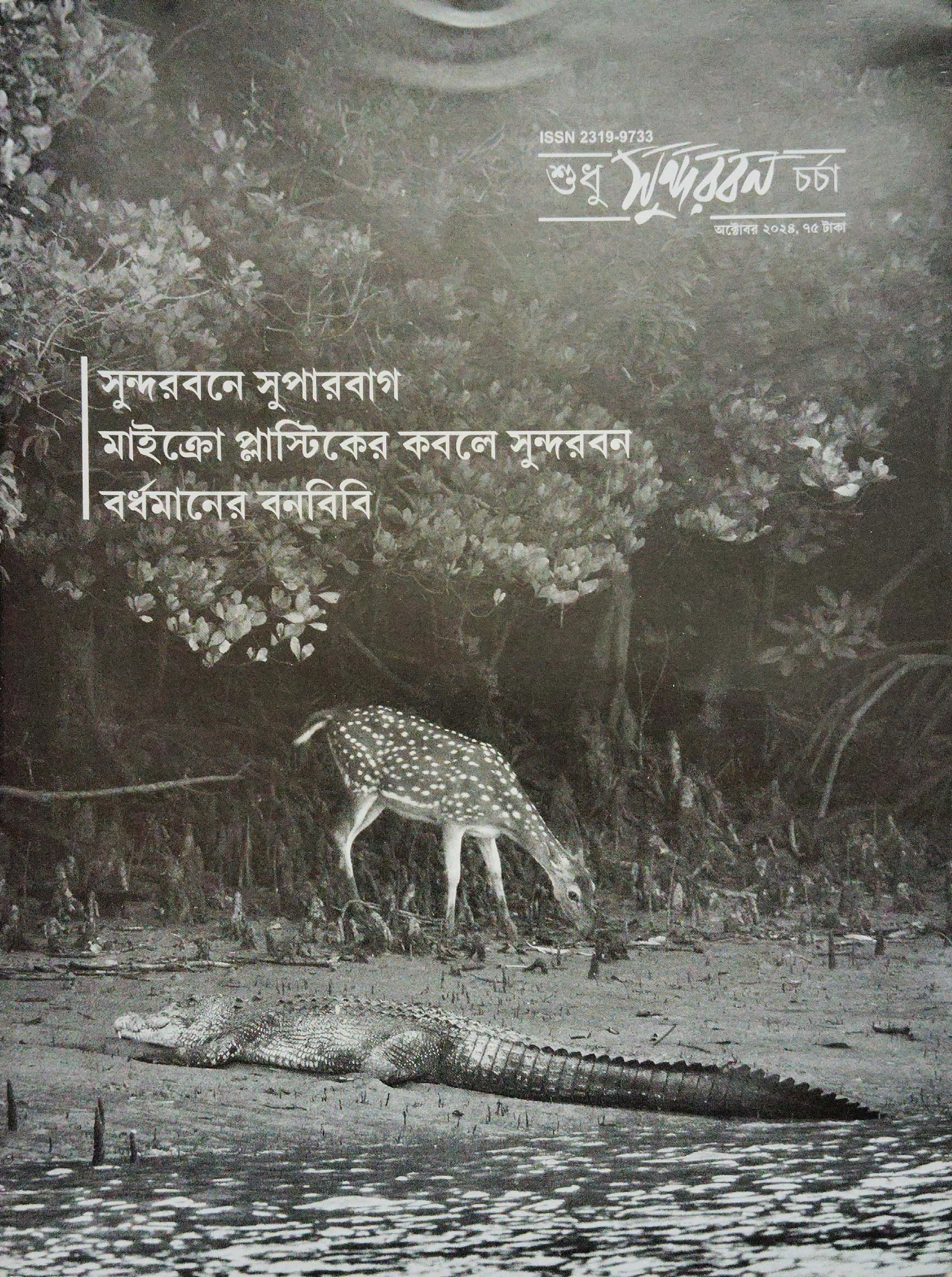 শুধু সুন্দরবন চর্চা (অক্টোবর ২০২৪)